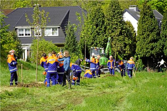 Insgesamt 18 Bäume werden auf die Wiese am Grubenweg gepflanzt. Die Obstsorten, die sie tragen, werden allerdings nicht essbar sein. Foto: Schlegel
