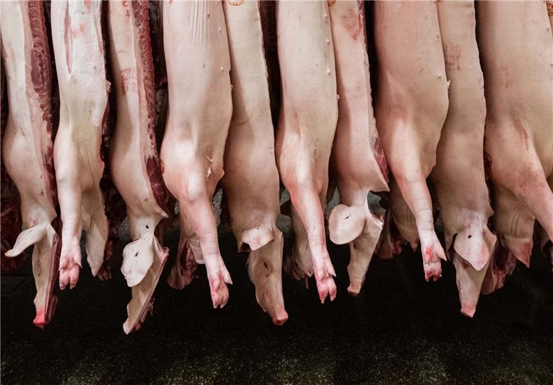 Insgesamt produzierten Schlachtunternehmen 2023 rund 4,2 Millionen Tonnen Schweinefleisch - deutlich weniger als noch 2022.