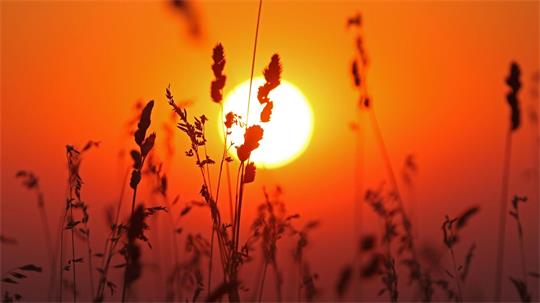 Insgesamt wurden im Juli im Schnitt rund 272 Sonnenstunden gemessen