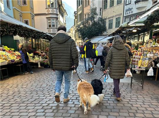 Ist das Häufchen per DNA-Abgleich erstmal identifiziert, könnte das in Bozen für Hundebesitzer bald sehr teuer werden.