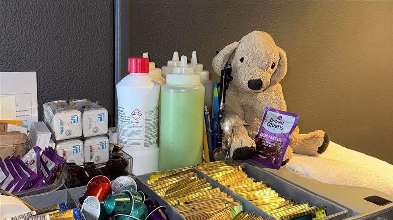 Vergessener Plüschhund Jack wird Internetstar in Australien Jack ist ein Tausendsassa und macht sich den Hotelmitarbeitern zufolge überall nützlich.
