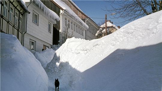 Das Foto zeigt eine von Schneebergen bedeckte Straße.
