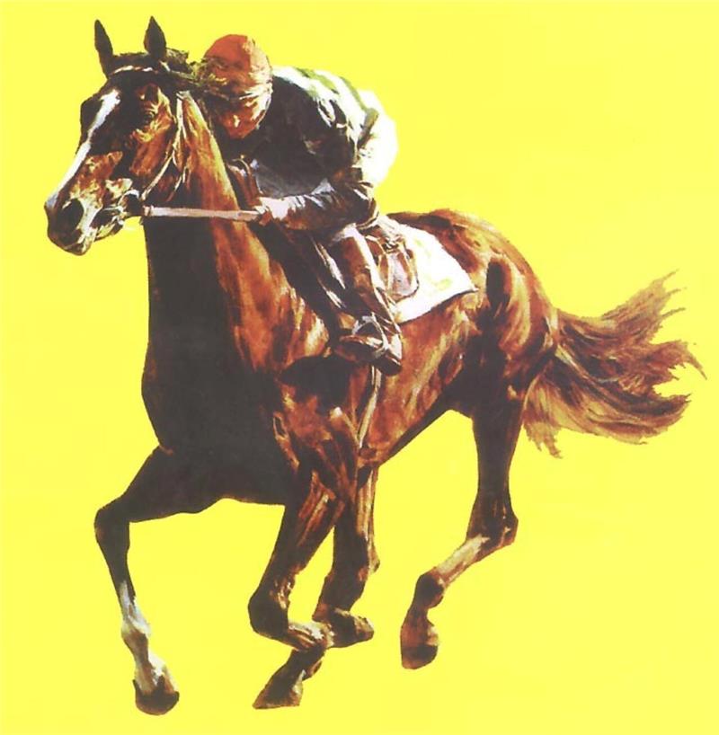 Dieser Hengst bringt Harzburg den einzigen Derbysieg in Blau-Gelb Jahrzehntelang ziert Bündheimers Großvater Luciano das Logo des Direktoriums für Vollblutzucht und Rennen.