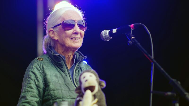 Jane Goodall macht Festival-Besuchern Mut Jane Goodall auf der Greenpeace-Bühne beim Glastonbury Festival in Worthy Farm.