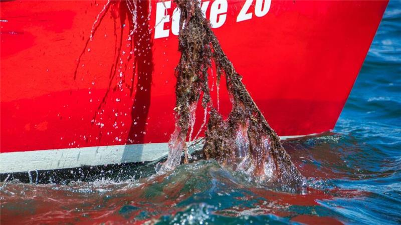 Mit Künstlicher Intelligenz besser nach Geisternetzen suchen Jedes Jahr landet eine unbekannte Menge an Fischernetzen im Meer. Mit Künstlicher Intelligenz sollen sie besser aufgespürt werden. (Archivbild)