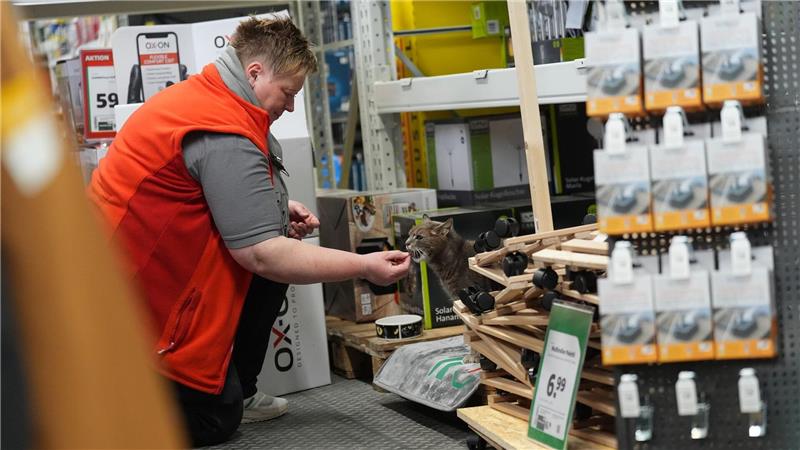 Jennifer Scheel, Mitarbeiterin im Baumarkt, wird von ihren Kollegen auch „Katzenmutti“ genannt.