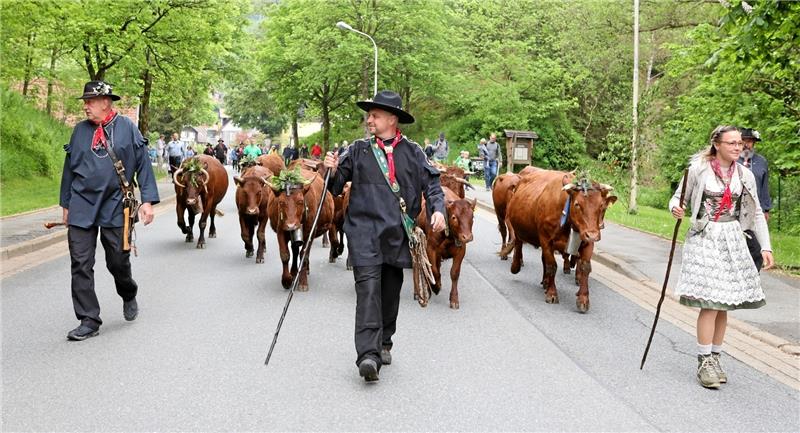 Jens Herberger (Mitte) und seine Frau Franzi führen die 22 Tiere durch Wildemann, begleitet von Einwohnern, Gästen und Vereinen. Foto: Neuendorf