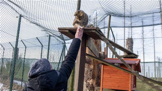 Jerke gegenüber ist Monti noch immer zutraulich.