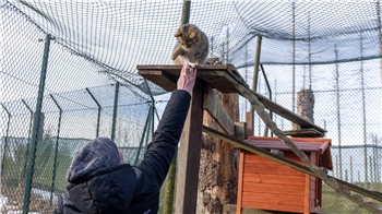 Jerke gegenüber ist Monti noch immer zutraulich.