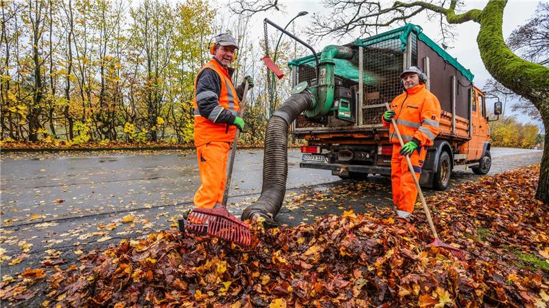 Oberharzer entsorgen das Laub illegal: Nun greift die Stadt ein Jetzt im Herbst häuft sich das Laub, das zuvor noch golden an den Bäumen leuchtete – viel Arbeit also für die Mitarbeiter des Bauhofs.