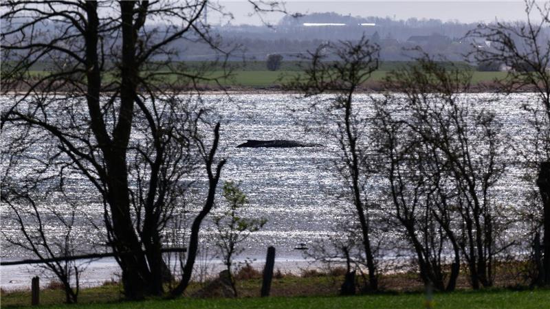 Jetzt soll auch die Wasserqualität geprüft werden.