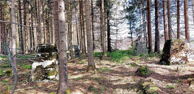 Clausthal-Zellerfeld: Was sind das für „Betonpyramiden“ im Wald? Jeweils vier „Betonpyramiden“ bilden ein Quadrat. Es handelt sich um Relikte des Zweiten Weltkriegs. Foto: Schulz