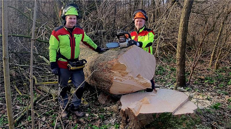 Zwei Männer stehen an einem gefällten Baumstamm, einer hält einer Motorsäge.
