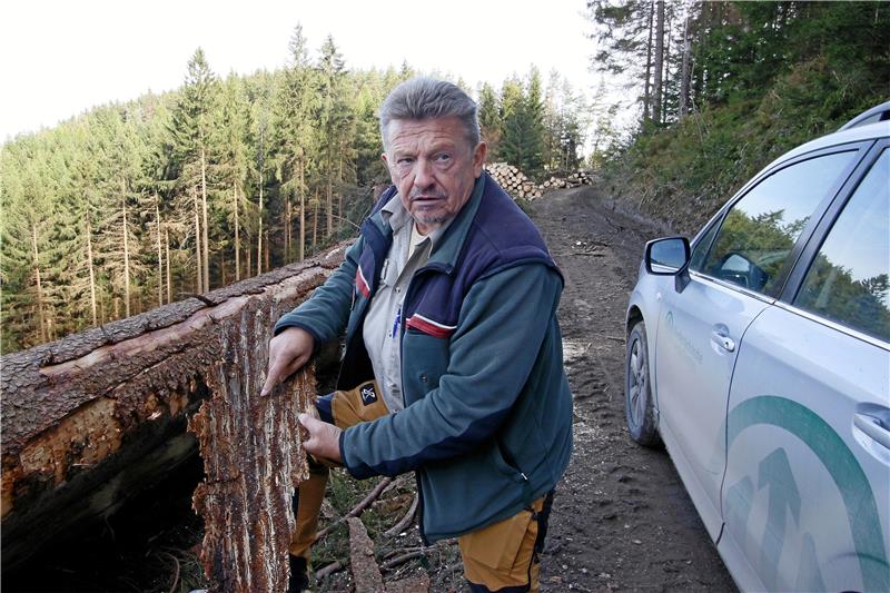 Tschüss, Wald: Harzer Unikum Jörg Schlabitz hört auf Jörg Schlabitz in beruflicher Aktion als Borkenkäfer-Erklärer in seinem Hahnenkleer (Noch-)Revier. Foto: Epping