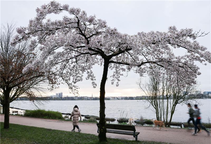 Sommerwetter folgt auf Regen und Gewitter Jogger und Spaziergänger sind am Morgen an der Alster unterwegs.