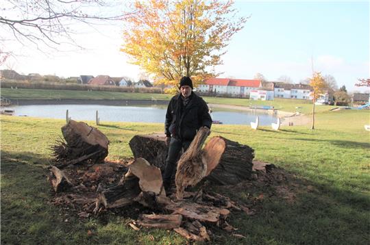 Jürgen Schwarze zeigt die beim Arbeitseinsatz im Naturbad gefällten Bäume. Foto Hohaus