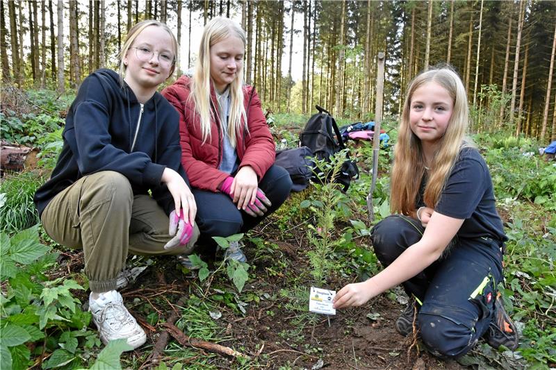 Julia, Amy und Ciara: „Es macht Spaß.“ Foto: Berg