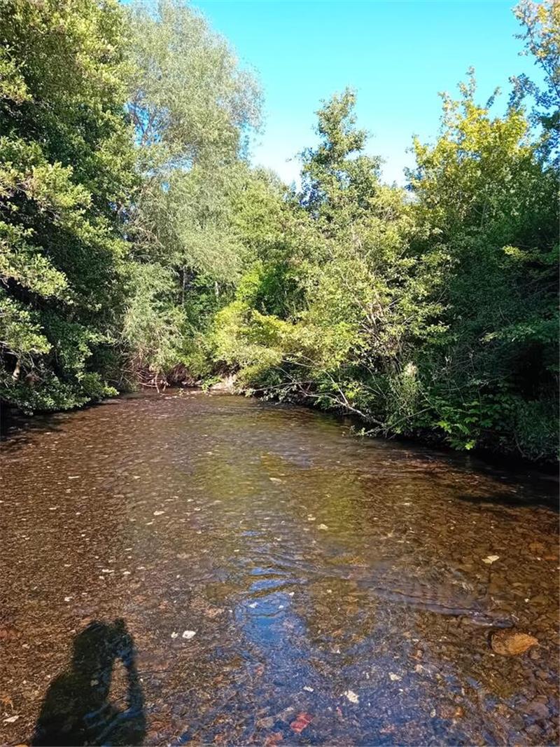 Julia Borchers entspannt an der Innerste, mit Libellen.