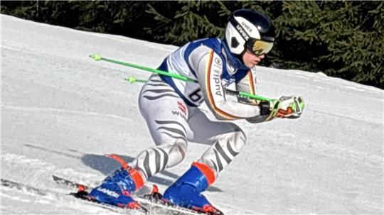 Skifahrer in Rennanzug mit Helm und Skistöcken in gebeugter Haltung auf schneebedeckter Piste vor Tannenwald