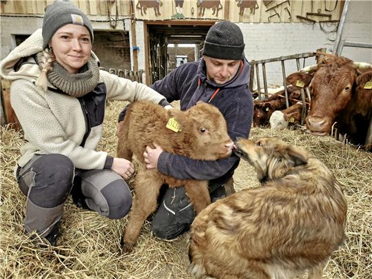 Kälbchen Rosi ist erst ein paar Tage alt, versteht sich mit Hund Pina von Franzi und Jens Herberger aber schon bestens. Foto: Knoke