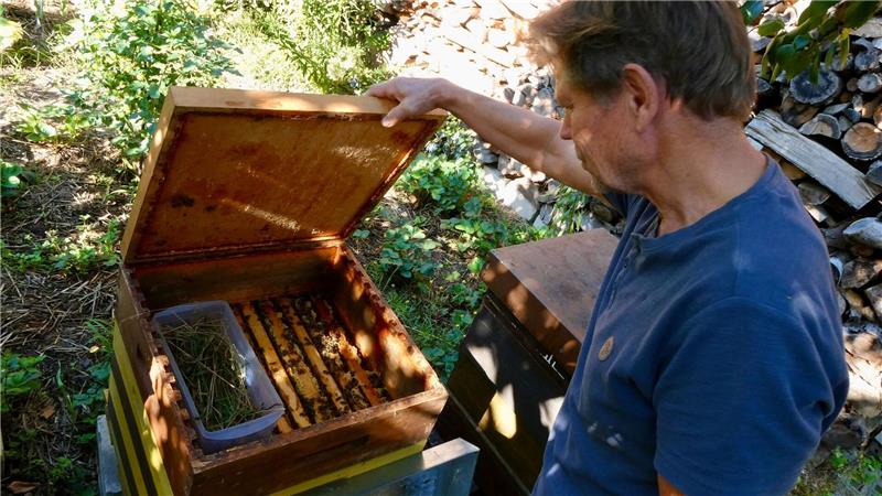 Nicht nur an Honig denken: Kritik am privaten Bienen-Boom Käpnick schaut regelmäßig, ob es seinen Bienen gut geht. (Archivbild)