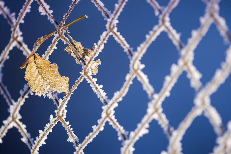 Kaiserwetter in Baden-Württemberg: Nach Vorhersagen des Deutschen Wetterdienstes (DWD) wird es am Wochenende überwiegend sonnig bei Temperaturen zwischen minus zwei und plus drei Grad.