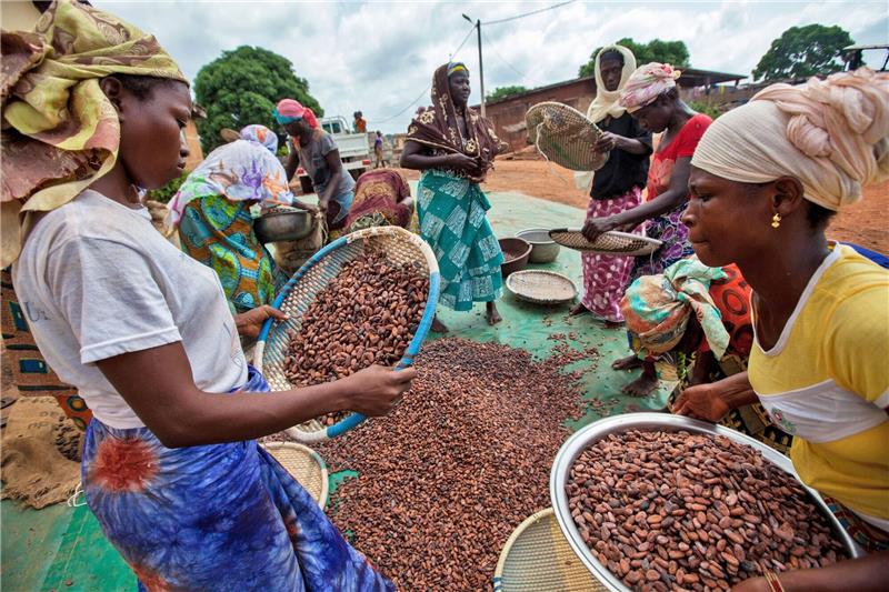 Heil und Schulz in Afrika: „Global Verantwortung übernehmen” Kakaobäuerinnen in der Elfenbeinküste.