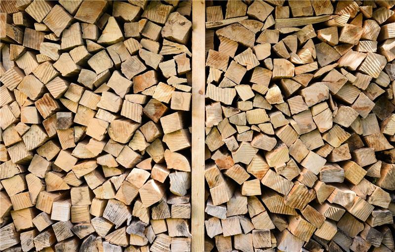 Betrug mit Heizbedarf im Internet: Mehr Fälle registriert Kammergetrocknetes Buchen-Brennholz wird auf einem Unterstand eines Hauses gelagert.