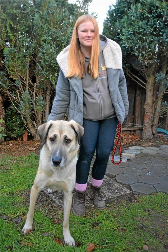 Kangalhündin Samantha mag keine anderen Hunde – das erschwert dem Tierheim die Vermittlung in ein neues Zuhause. „Solange das nicht klappt, tun wir alles, um es ihr hier im Tierheim so schön wie nur möglich zu machen“, sagt Tierpflegerin Anna-Lena Thormann. Foto: Renz-Gabriel