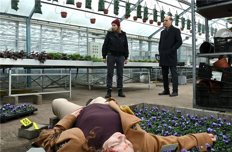 9,41 Millionen sehen „Tatort” aus Dresden Karin Gorniak (Karin Hanczewski) und Kommissariatsleiter Peter-Michael Schnabel (Martin Brambach) am Tatort in der Gärtnerei.