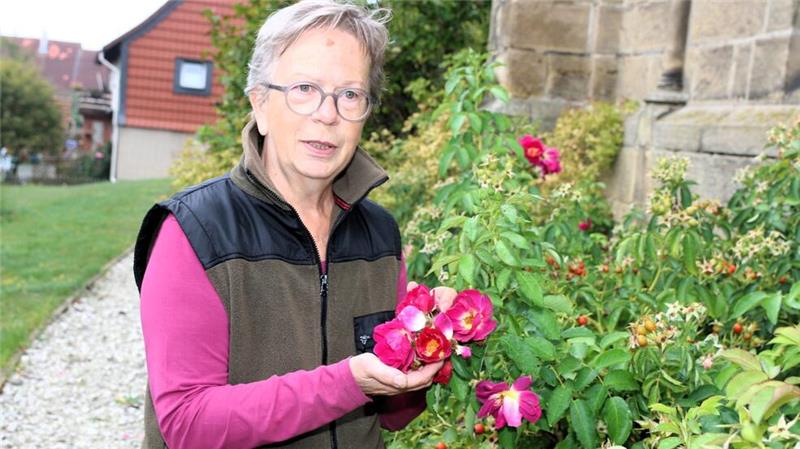 Karin Tölg hat als Floristin den „Grünen Daumen" in der ehrenamtlichen Gärtner-Gruppe. Sie liebt die herrlich duftenden und so pflegeleichten Hundsrosen.