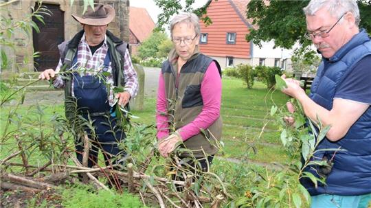 Karl-Heinz Wenke, Karin Tölg und Andreas Berndt pflegen ehernamtlich den „Garten Gottes" an der Erlöserkirche.