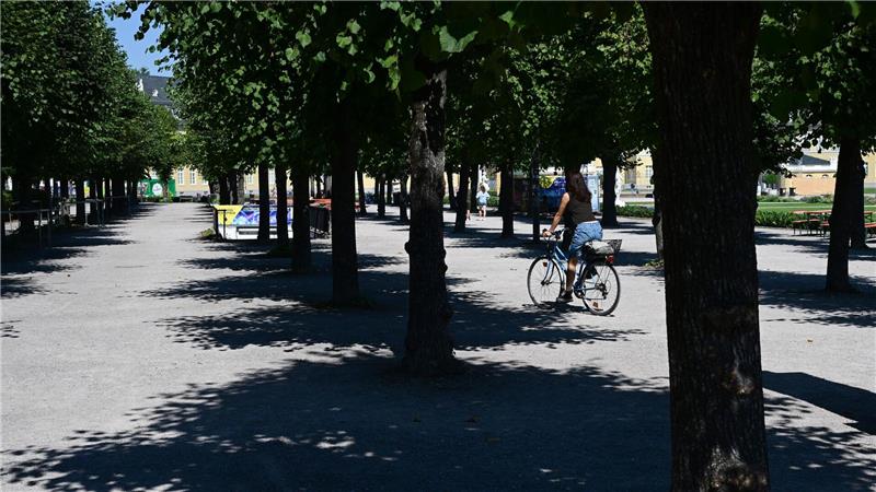 Wie können Städte Hitze trotzen? Diese machen es vor Karlsruhe hat schon länger eine Anpassungsstrategie: Auch Stadtgrün gehört dazu.