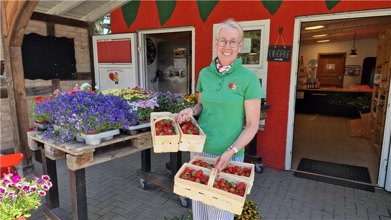 Person in grünem Poloshirt und gestreifter Hose hält drei Holzkisten mit Erdbeeren vor einem Verkaufsstand mit Blumen und Pflanzen.