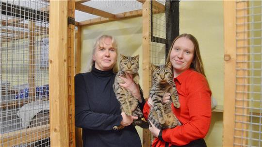 Zwei Frauen halten jeweils eine getigerte Katze in einem Raum mit Holzkonstruktion und Drahtgittern.