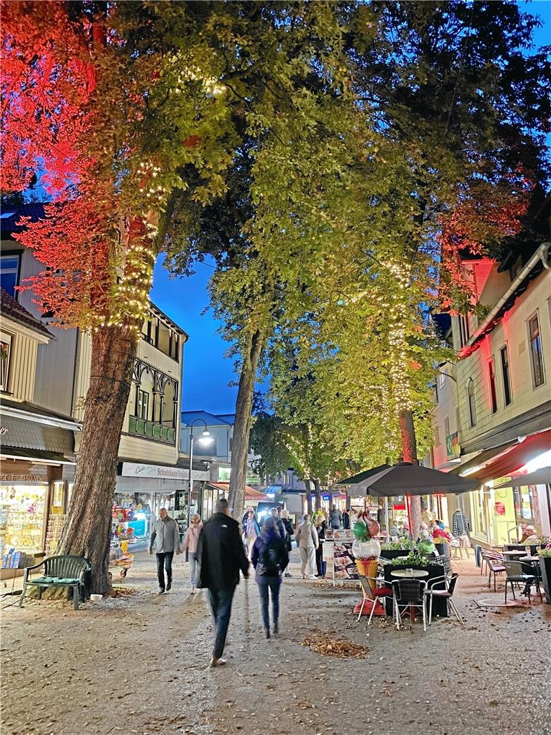 Kein Gedränge, wie beim Lichterfest, aber eine schöne Atmosphäre unter den funkelnden und bunt angestrahlten Kastanien (hier ein Bild vom vergangenen Freitag): „Bad Harzburg leuchtet“ ist eine stimmungsvolle Sache. Dieses Resümee ziehen die beteiligten Geschäftsleute. Sie möchten dieses Angebot noch öfter machen, es allerdings aus organisatorischen, aber auch rechtlichen Gründen nicht um mögliche Programmpunkte erweitern. Das nächste Mal leuchtet Bad Harzburgs Innenstadt am 4. Dezember. Foto: Schlegel