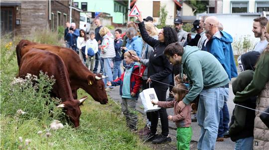 Keine Berührungsangst herrscht beim Weidefest zwischen Mensch und Tier.
