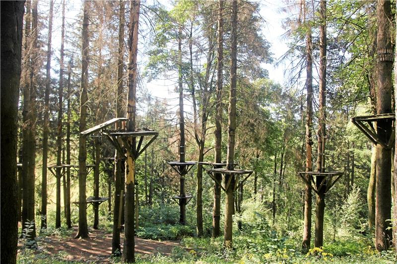 Neuer Hochseilpark auf der Jordanshöhe in St. Andreasberg Keine Chance gegen den Borkenkäfer: Die Plattformen an den Fichten im Teichtal sind zwar noch vorhanden, sie sind aber nicht mehr stabil.