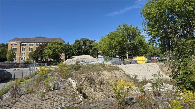 Goslarer SPD ruft zum Zusammenhalt beim Pfalzquartier auf Kernfrage für die Stadtentwicklung: Wie geht es nach dem Tessner-Ausstieg mit dem Pfalzquartier weiter?
