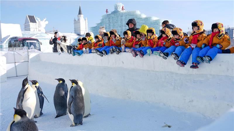 Kinder beobachten Pinguine in der Changchun Ice and Snow New World in Changchun.