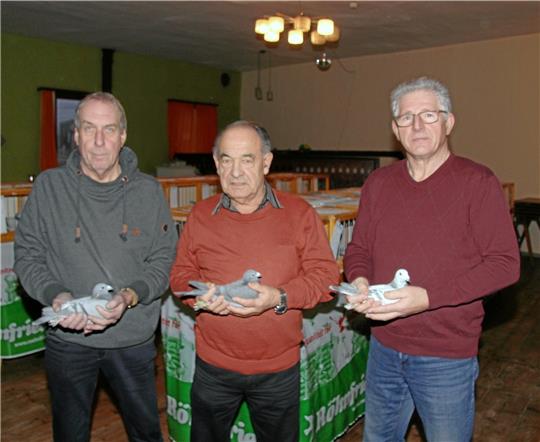 Klaus-Dieter Sommer aus Schladen (li.), Karl-Heinz Mergard aus Hornburg und Manfred Mrochen aus Dörnten mit den prämierten Siegertauben bei der Ausstellung in Wehre. Foto: Hohaus