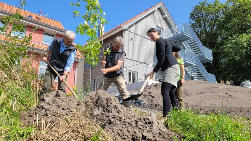 Oberharz: Ein neues Haus für das Waldpädagogikzentrum Klaus Merker (v.l.), Ralf Krüger und Miriam Staudte pflanzen eine Eiche am neuen Haus Ahrendsberg.