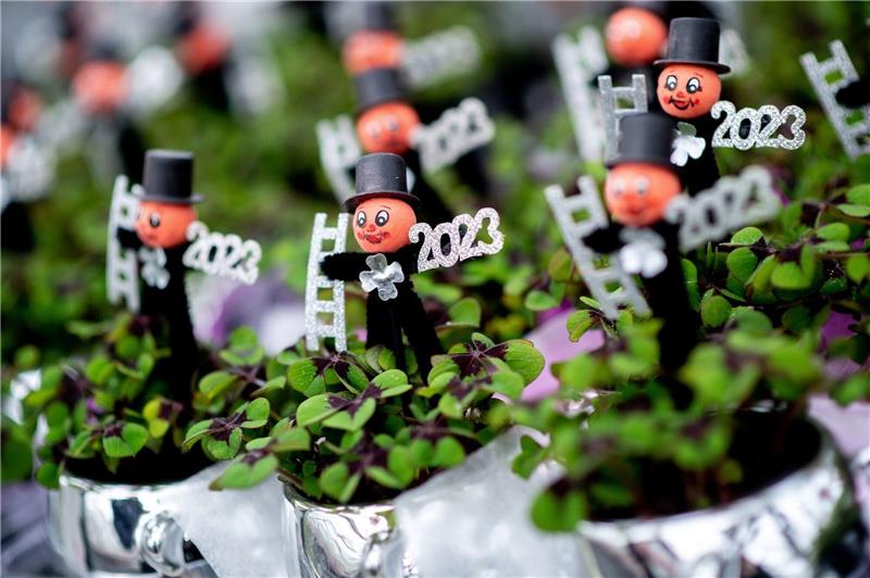 Kleepflanzen mit einem kleinen Schornsteinfeger und der Jahreszahl «2023» in einem Gartenbaubetrieb.