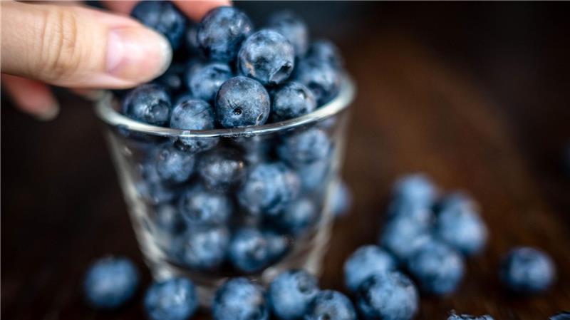 Klein, blau, erfolgreich als Snack: die Heidelbeere. Sie boomt immer noch. (Archivfoto)