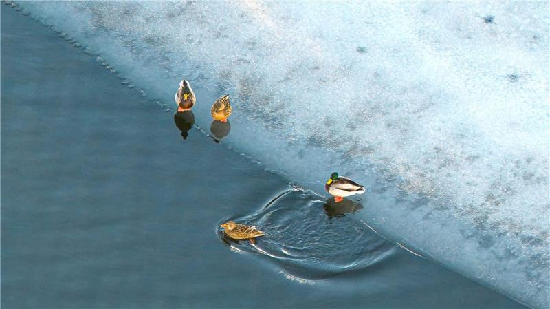 Kleinere Gewässer in Niedersachsen sind gefroren. 