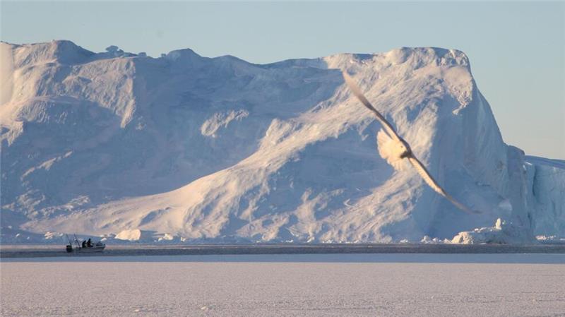 Grönlands Klima-Zwiespalt - und was Trump damit zu tun hat Kleines Boot vor riesigen Eisbergen.