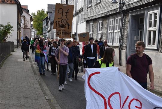Klimaaktivisten von Fridays for Future ziehen durch Goslar.