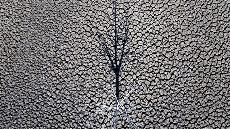 EU setzt sich neues Ziel für den Klimaschutz Klimazertifikate aus Drittländern könnten künftig mit EU-Emissionen verrechnet werden. (Symbolbild)