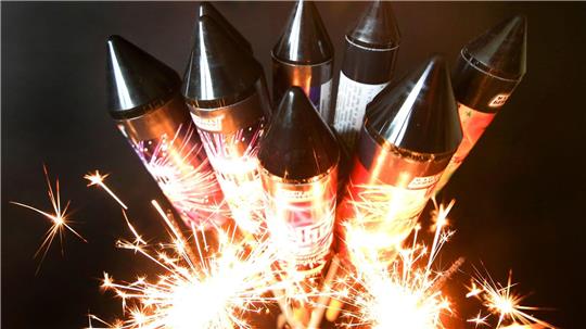 Knallgeräusche und Lichtblitze durch Feuerwerkskörper versetzen viele Haustiere in Stress und Angst. (Symbolbild)