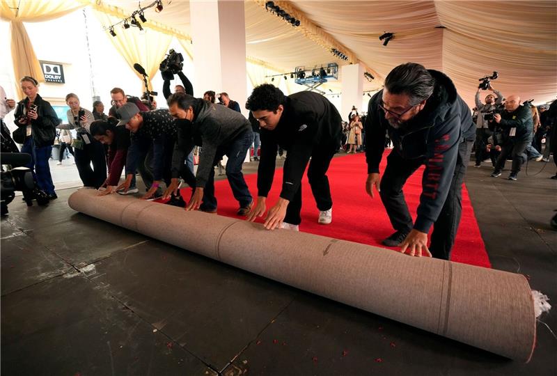 Knapp 100 Meter lang und gut zehn Meter breit bedeckt der Teppich ein Stück des sonst stark befahrenen Hollywood Boulevards.